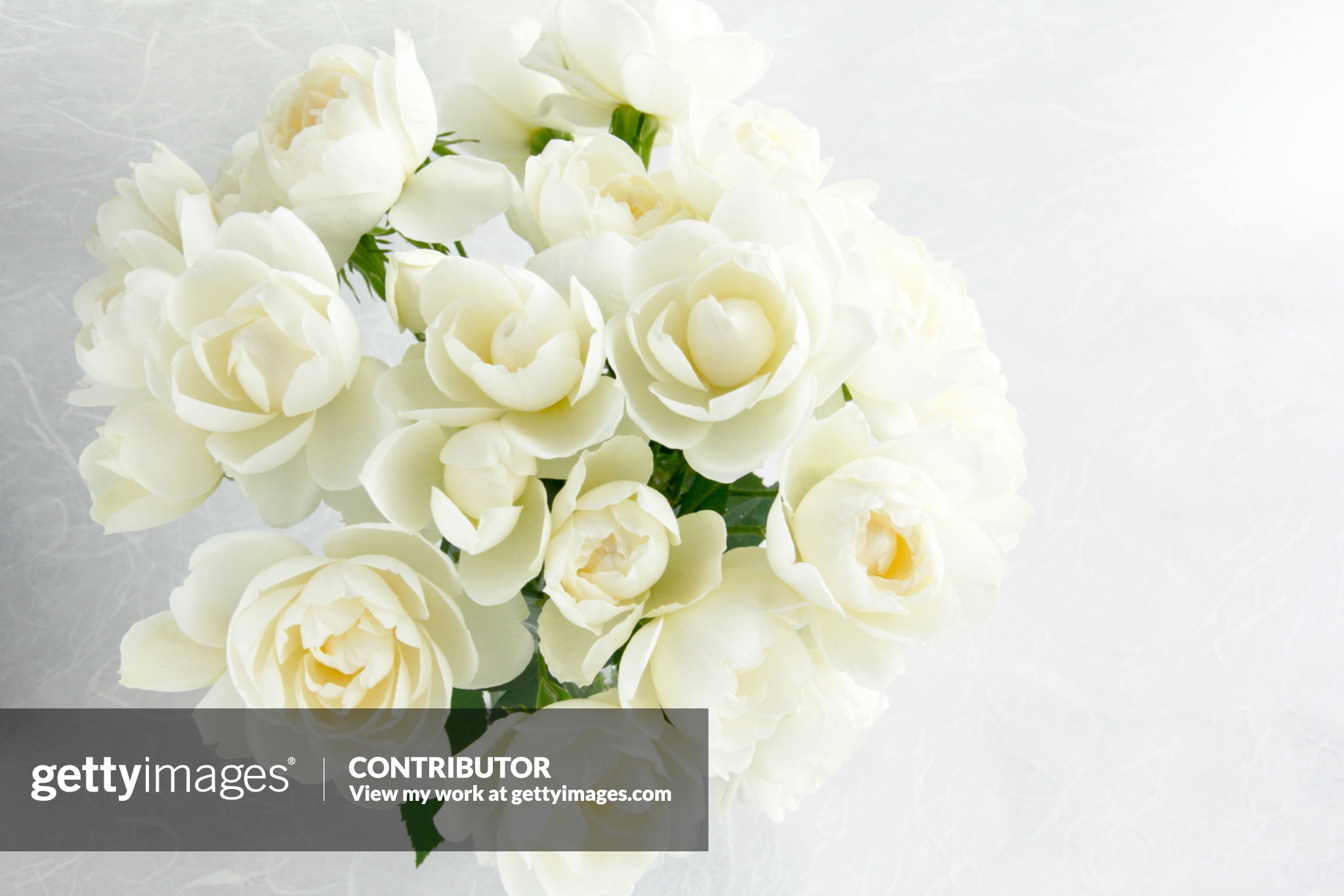 White rose bouquet